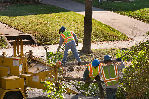 Best Aeration Services  in Labelle, FL